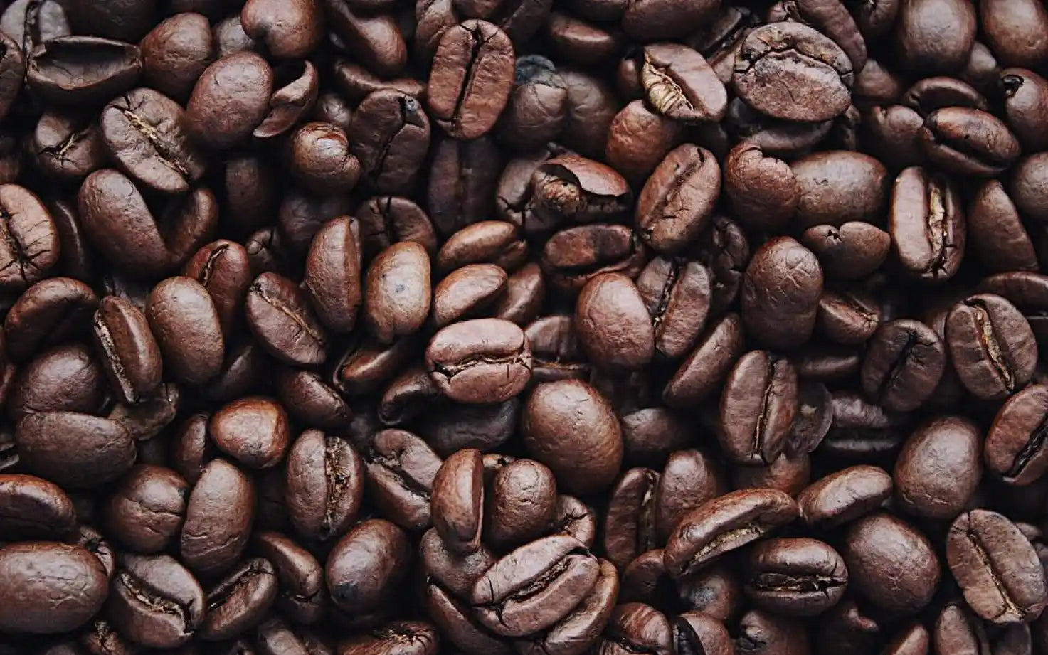 Nespresso kompatible Kapseln - coffee beans close up - MyCoffeeCup.de