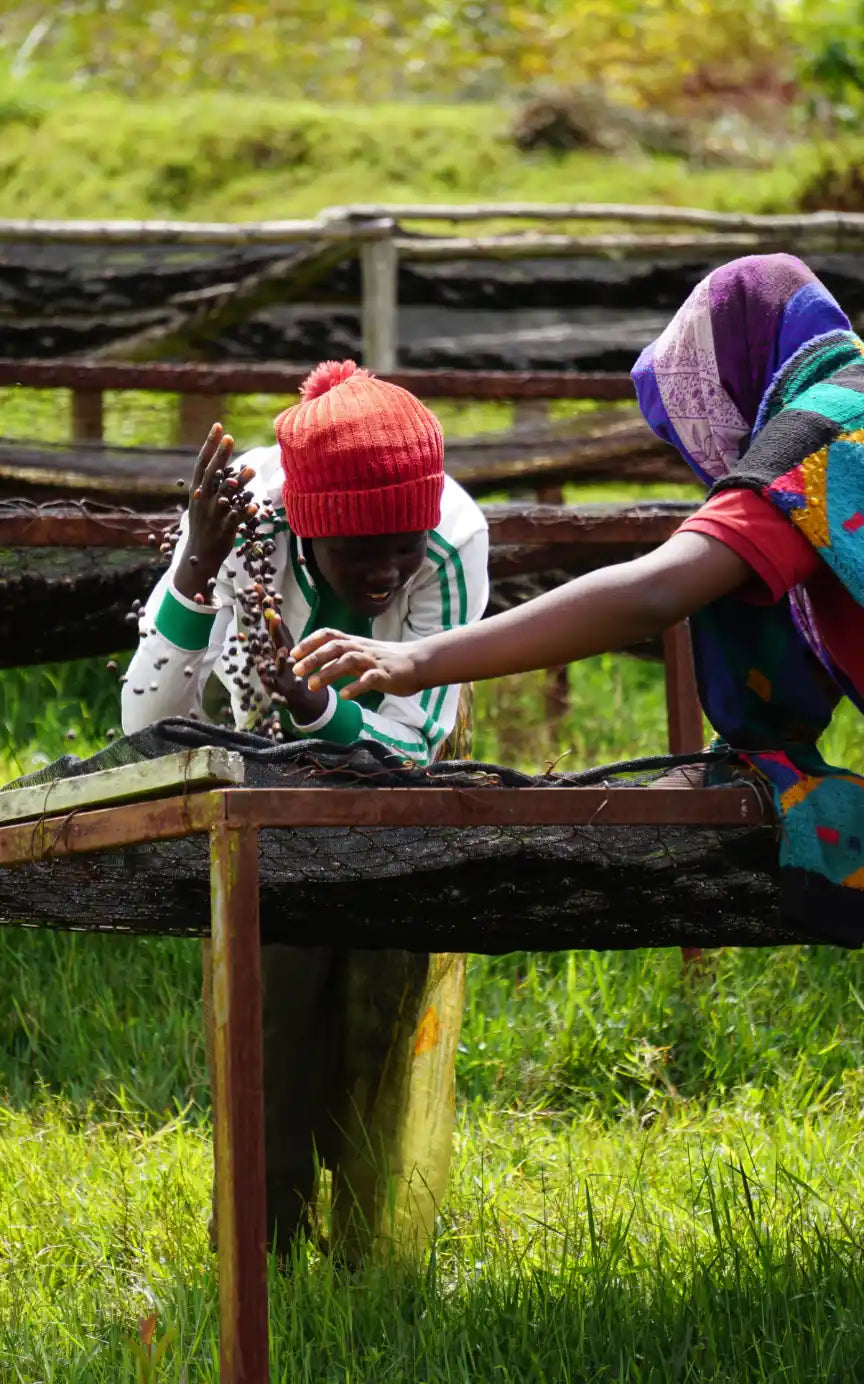 Nespresso kompatible Kapseln - women in rwanda - MyCoffeeCup.de