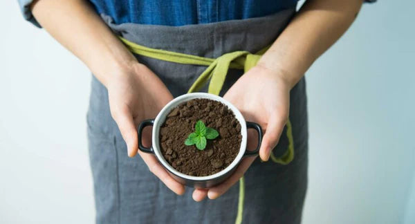 Nespresso kompatible Kapseln - small plant in a cup - MyCoffeeCup.de