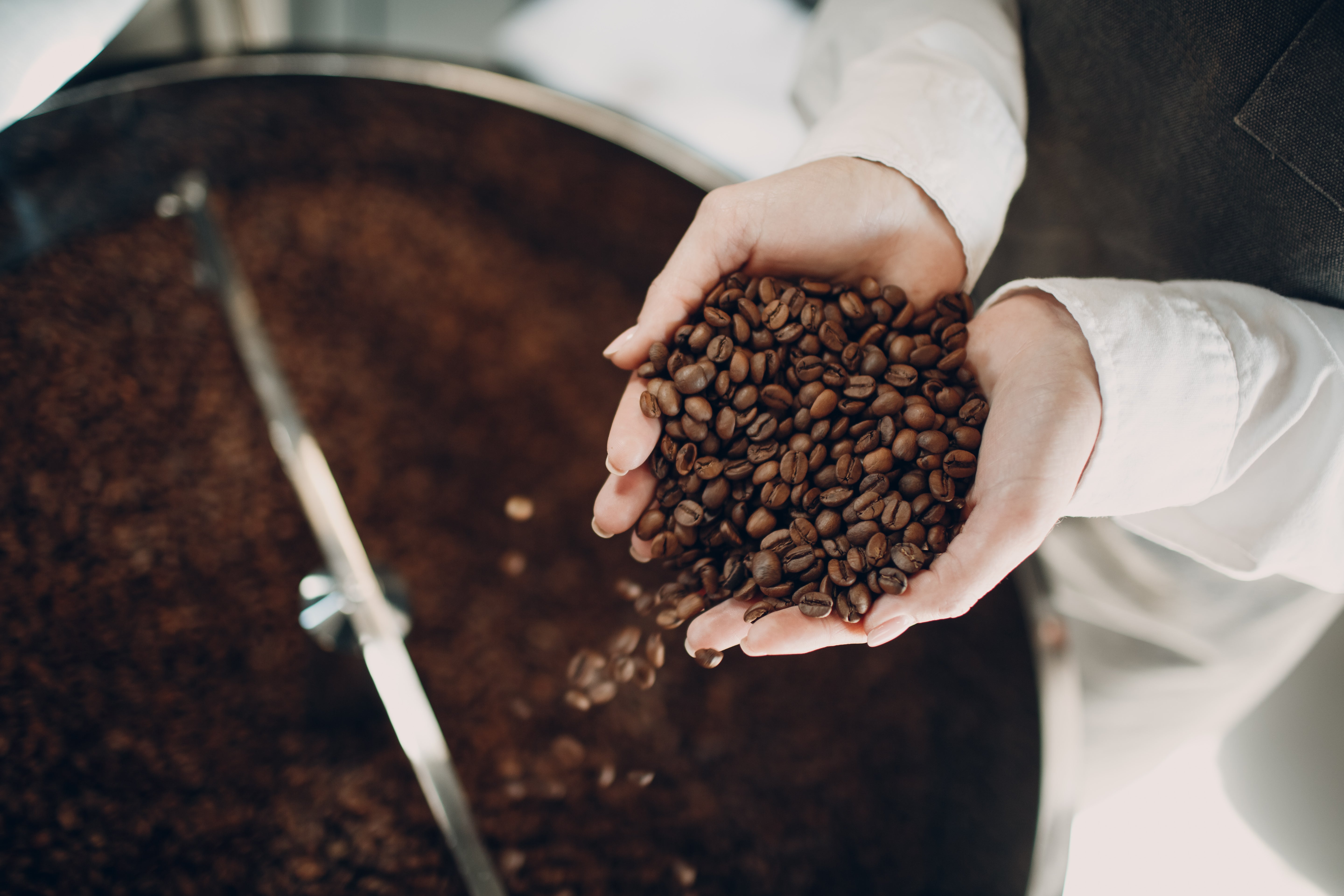 Arabica und Robusta im Vergleich: Welche Sorte macht das Rennen?