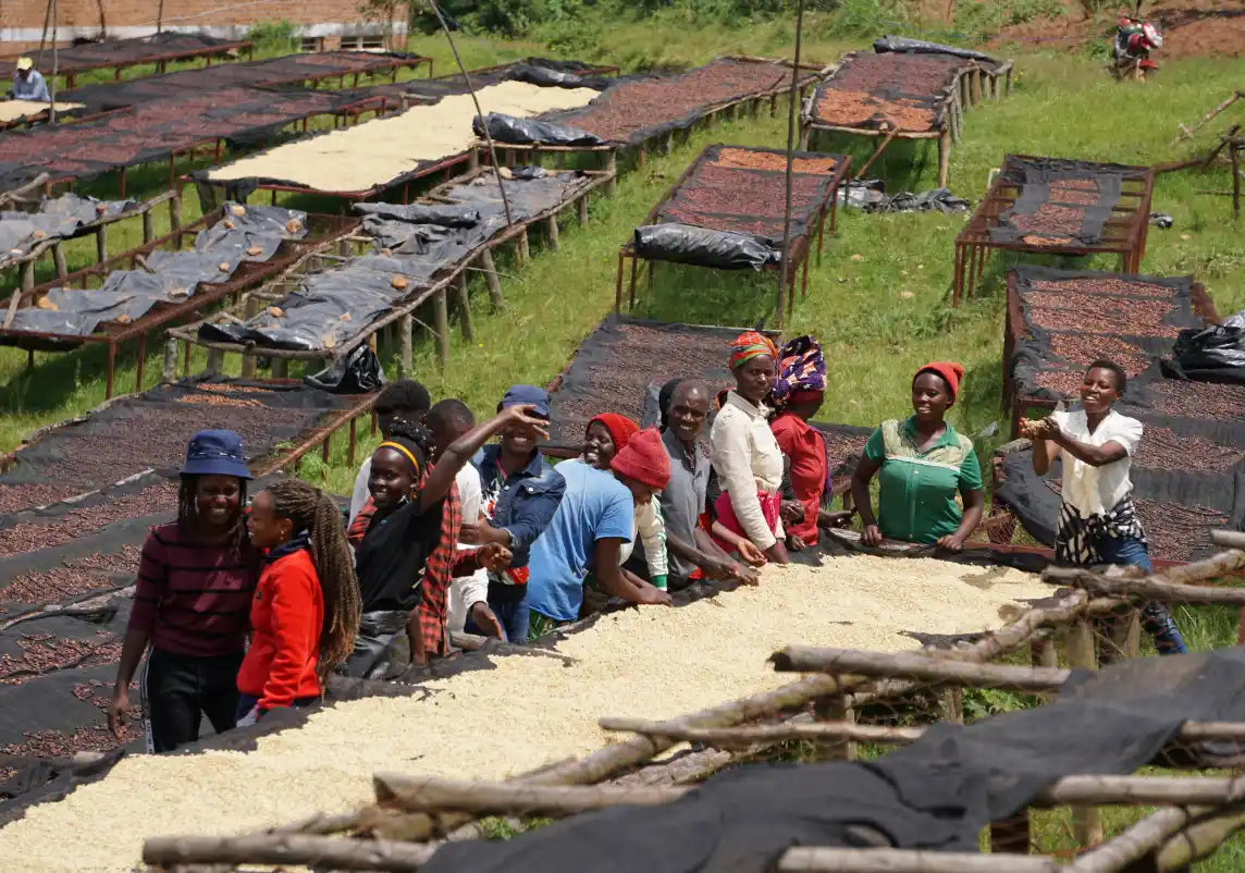 Nespresso kompatible Kapseln - kaffeefeld in ruanda - MyCoffeeCup