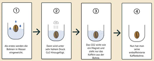 Nespresso kompatible Kapseln - bean process illustrated - MyCoffeeCup.de